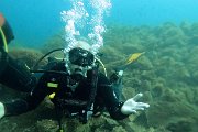 Vico plongeur G0383160