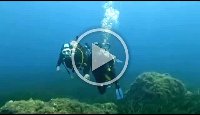 Vico video Mercredi 21 6 21